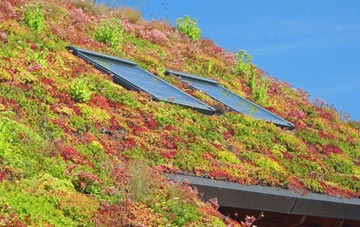 Carfrae living roof systems