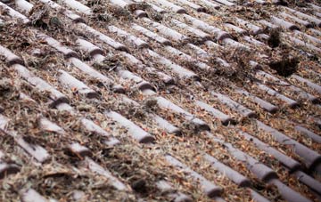 Carfrae roof cleaning companies