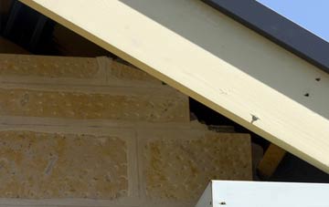 soffit repair Carfrae